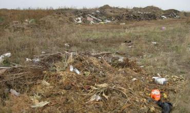 Фото На пастбище в Троицком районе ликвидирована свалка с многолетней историей