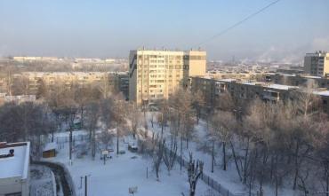 Фото Наталья Котова распорядилась обезопасить Челябинск от бешенства
