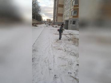 Фото Им снег нипочем: в Челябинской области коммунальщики продолжают сенокос