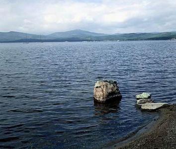 Фото Юные экологи очистили берег озера Увильды от мусора