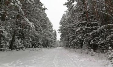 Фото В этом году наблюдение за нацпарками «Таганай» и «Зигальга» будет вестись и с воздуха