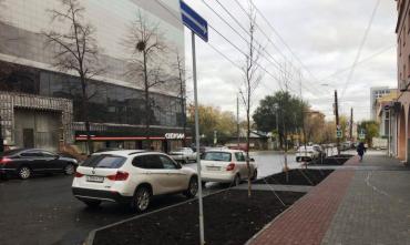 Фото Наталья Котова верит в высокую выживаемость и эстетику высаженных в Челябинске крупномеров