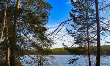 Фото В среду в Челябинской области – тепло и ветрено