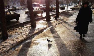 Фото Во вторник в Челябинской области – тепло, местами дожди