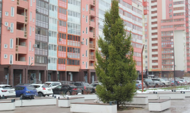 Фото Сквер в Калининском районе Челябинска украсила семиметровая сибирская ель