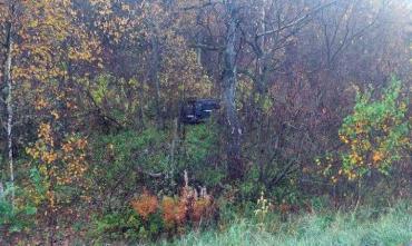 Фото В Челябинской области водитель погиб после столкновения машины с лосем