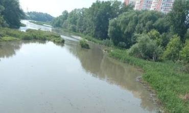 Фото СКР проверяет информацию о загрязнении реки Миасс в Челябинске твердыми отходами