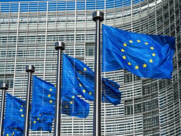 Фото Европарламент сделал исключение для главы постпредства РФ Владимира Чижова и одного его подчиненного