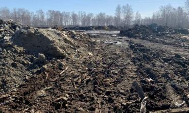 Фото Виновные в появлении «кладбища» животных рядом с поселком Смолино по-прежнему не установлены