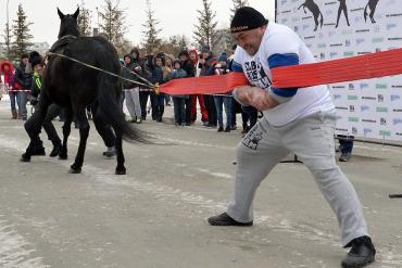 Фото Челябинский Эльбрус остановил скачущих жеребцов