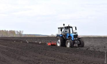 Фото Посевная кампания в Челябинской области набирает обороты