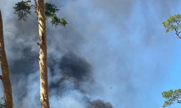 Фото Пожар рядом с зоопарком в Челябинске произошел не на объекте Челябэнерго