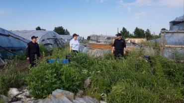Фото Полицейские обнаружили в Еткульском районе иностранцев-овощеводов