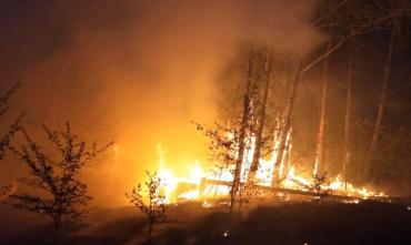 Фото Шесть лесных пожаров произошло в Челябинской области девятого мая, за неделю - 90