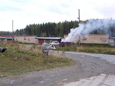 Фото Экологи передали в прокуратуру материалы на «вредный» кооператив