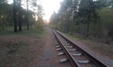 Фото В ЮУЖД прокомментировали инцидент на детской железной дороге в Челябинске