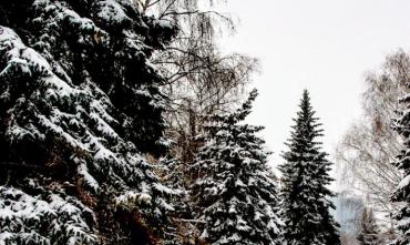 Фото На Крещение в Челябинской области мороз и снег