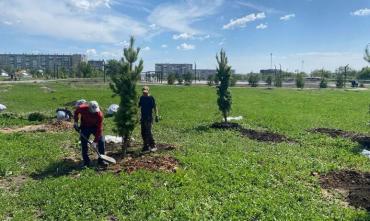 Фото Челябинские власти показали процесс преображения парка Дружбы