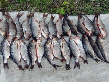 Фото Южноуральца привлекают за рыбалку на Долгобродском водохранилище