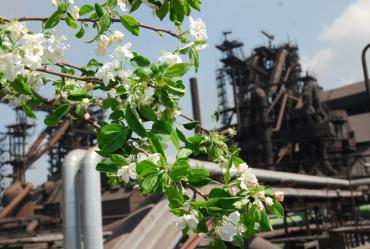 Фото Челябинск на пороге экологического ребрендинга