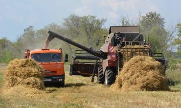 Фото В Челябинской области в разгаре заготовка кормов