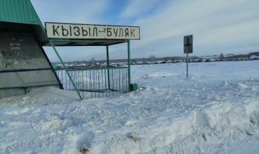 Фото Остановки в Аргаяшском районе утонули в снегу, жители просят о помощи губернатора