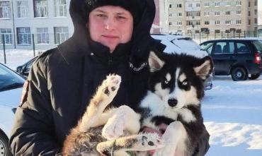 Фото В Верхнем Уфалее хозяева перед отъездом заперли на балконе щенка, а участковый спас его
