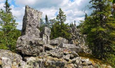 Фото Рыжих обитательниц нацпарка «Зигальга» «привьют» от бешенства