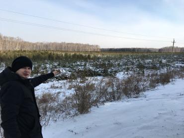 Фото С виновными в уничтожении молодого сосняка в Солнечном разберутся прокурор и главный полицейский региона