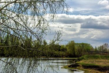 Фото В понедельник Челябинской области дожди и грозы