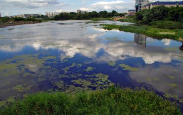 Фото Четверг в Челябинской области будет теплым и ясным