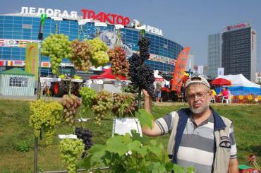 Фото АГРО-2016: выставка подвела итоги, ярмарка подсчитала барыш