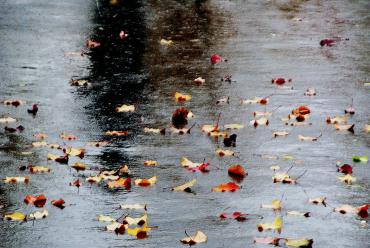 Фото В выходные в Челябинской области будет пасмурно и сыро
