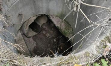 Фото Челябинские спасатели вытащили собаку из колодца