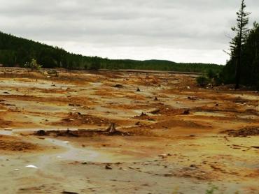 Фото Обугленную аномальную конечность нашли в Карабаше