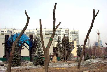 Фото Принадлежащие Челябинску 26% акций ОАО «КиноМакс-Урал» до конца марта планируется продать на открытом аукционе