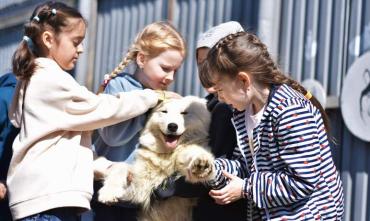 Фото В Челябинске благодаря совместным играм и общению с животными особые дети учатся дружить со сверстниками