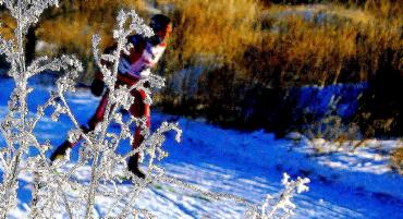 Фото Металлурги ЧЦЗ вышли на лыжню