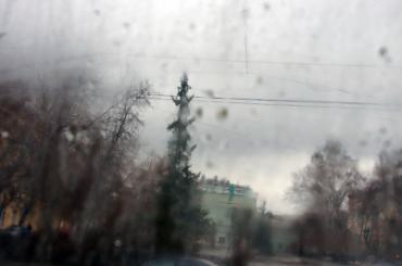 Фото В Челябинске прохладно, ветрено, сыро и грязно