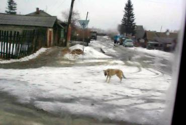 Фото В понедельник пока тепло, ветрено и сыро