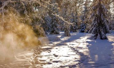 Фото Погода в Челябинской области до конца недели – трескучий мороз и солнце