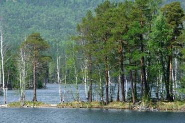 Фото Сколько стоит путевка в санаторий Челябинской области