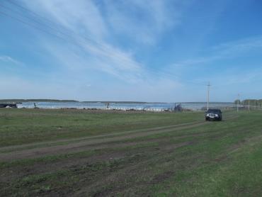 Фото Когда цена за помидоры и огурцы  слишком высока – плодородие земли российской 