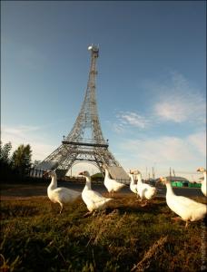 Фото Премию «Бизнес-Успех» выиграл «Парижский полумарафон» из Челябинской области
