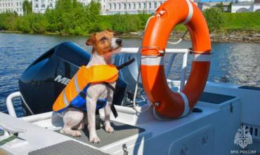 Фото Южноуральцев будут штрафовать за нахождение на воде без средств спасения