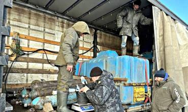 Фото В озёра Челябинской области запустили молодую рыбу