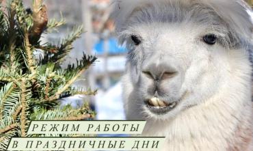 Фото Режим работы зоопарка Челябинска в новогодние каникулы