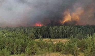 Фото В Челябинской области в августе вырастет риск лесных пожаров