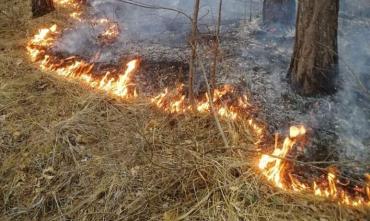 Фото Особый противопожарный режим введён еще в трех районах Челябинской области