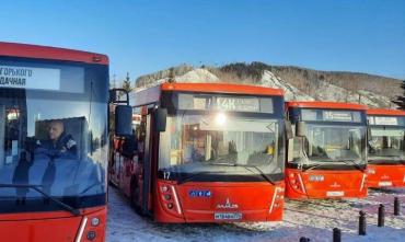 Фото Златоуст получил 17 новых автобусов МАЗ
